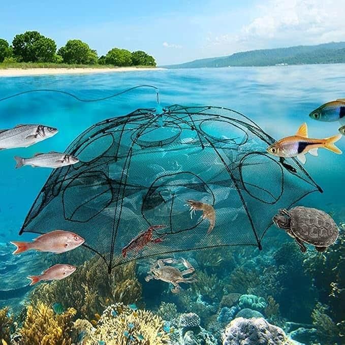 Fisher Go Trap Foldable Net– Easy Catch for Fish, Crabs & More!